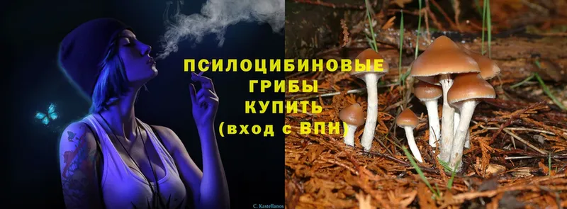 Галлюциногенные грибы MAGIC MUSHROOMS Карабаново